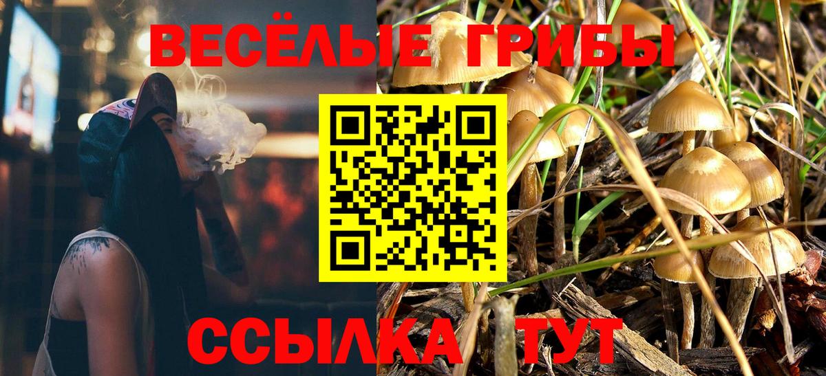Галлюциногенные грибы Magic Shrooms Майский