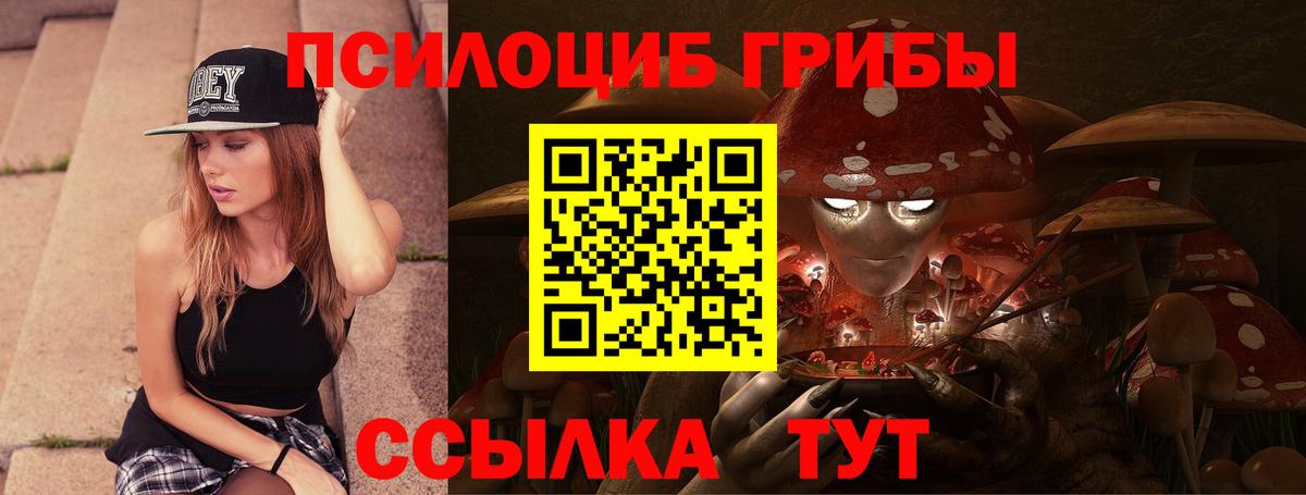 Майский  Галлюциногенные грибы Cubensis  магазин продажи   Вход с VPN 